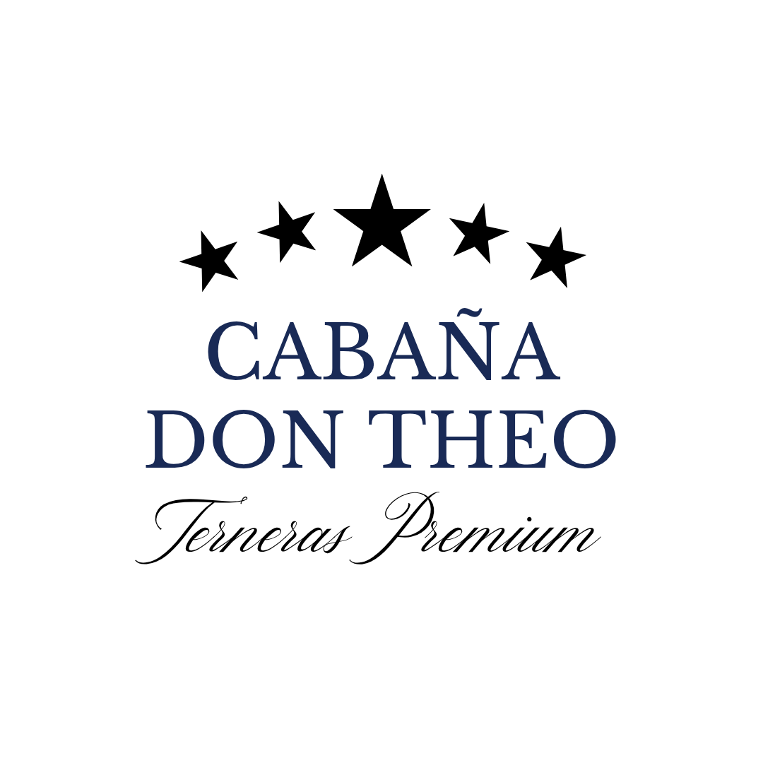 Logo Don Theo